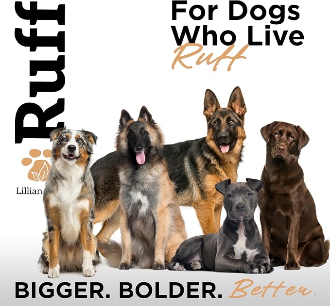 RUFF by Lillian Ruff Oatmeal Dog Shampoo | Sandalwood Amber | Professional Dog - Image 8