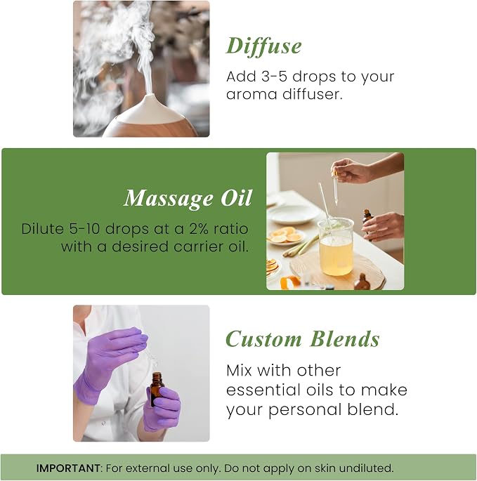 Handcraft Blends Rosemary Essential Oil – 1 Fl Oz – 100% Pure and Natural – - Image 5