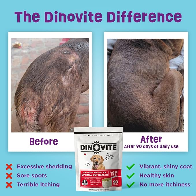 Dinovite Dog Probiotics for Yeast, Itchy Skin and Itchy Ears - Image 3