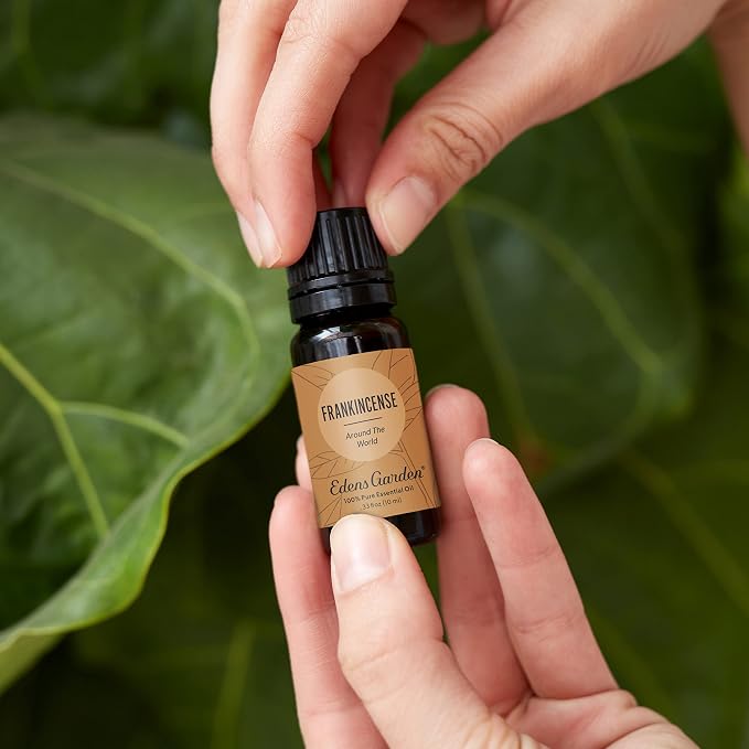 Edens Garden Frankincense Around The World Essential Oil, 100% Pure Therapeutic - Image 2