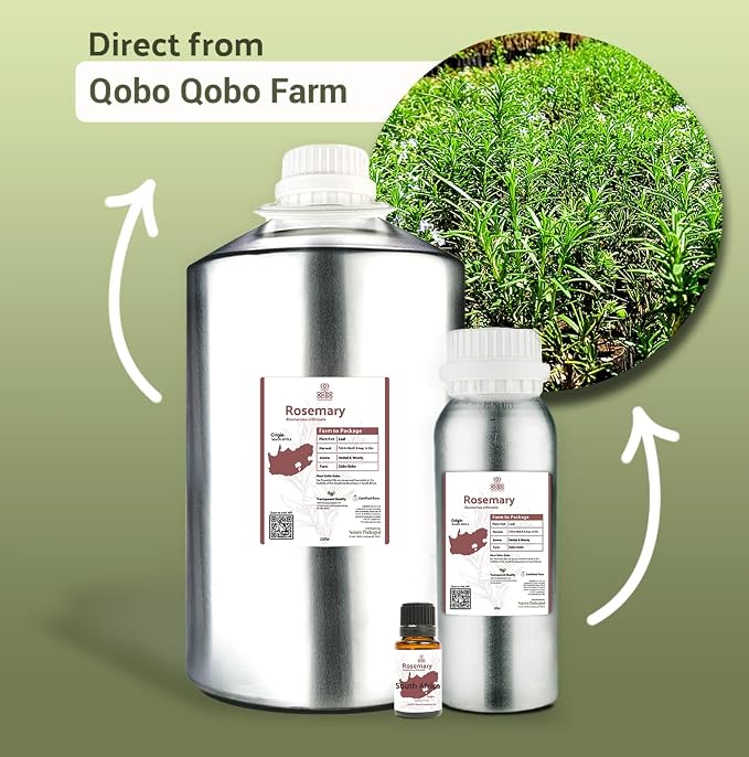 Rosemary Essential Oil - Image 4