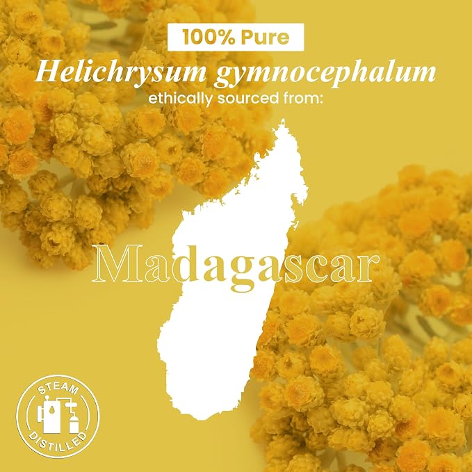 Handcraft Blends Helichrysum Essential Oil – 1 Fl Oz – 100% Pure and Natural – - Image 7