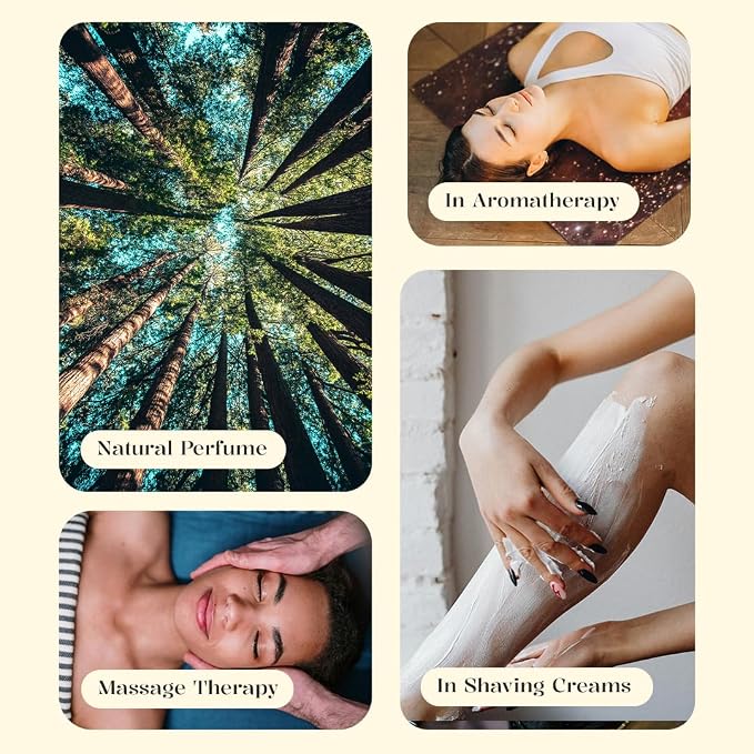 Luxurious Frankincense Essential Oil by Enhanced Essentials| Slow Distilled & - Image 6