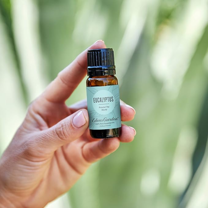 Edens Garden Eucalyptus Around The World Essential Oil- 100% Pure Premium Grade - Image 2