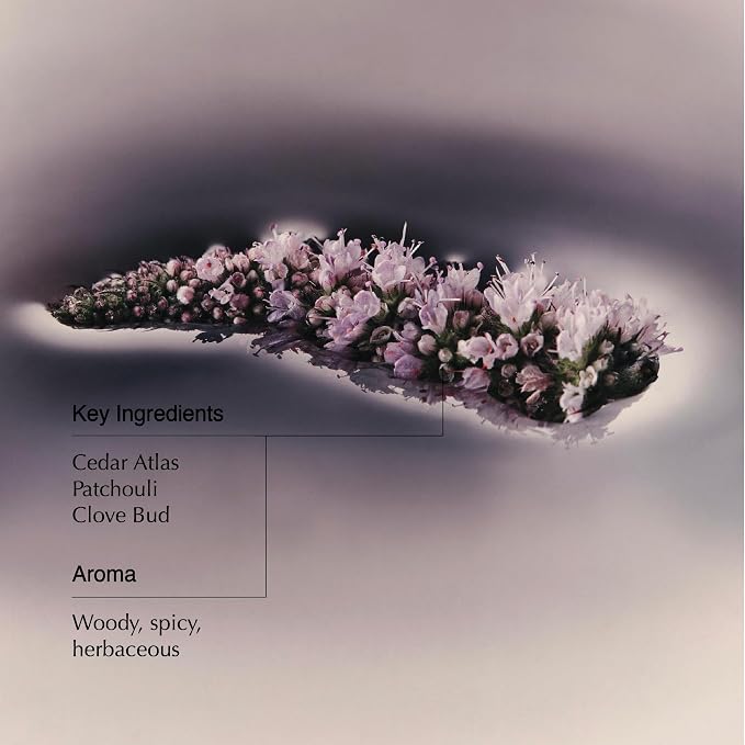 Aesop Eleos Nourishing Body Cleanser | Hydrating Ingredients - Image 3