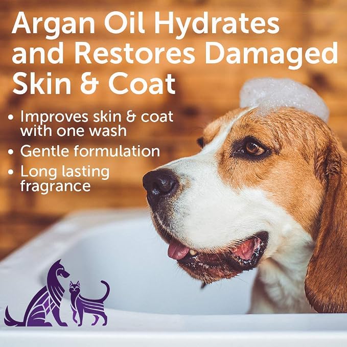 Nootie - Pet Shampoo for Sensitive Skin - Revitalizes Dry Skin & Coat - Natural - Image 4