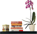 joelsantiques 30 Inch Floating Shelves by JoelsAntiques