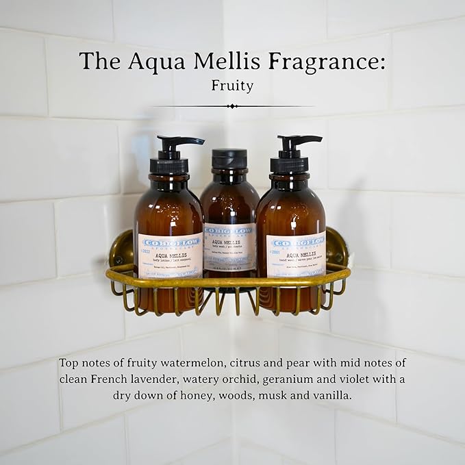 C.O. Bigelow Aqua Mellis Hand Wash, Iconic Collection Liquid Hand Soap - Image 6