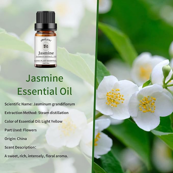 yethious Jasmine Chamomile Sandalwood Essential Oil Set Organic 100% Pure 3 - Image 2