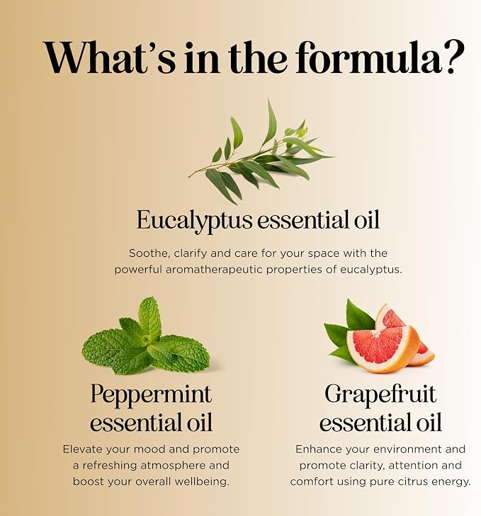 Focus Essential Oil Blend for Diffusers - Image 9
