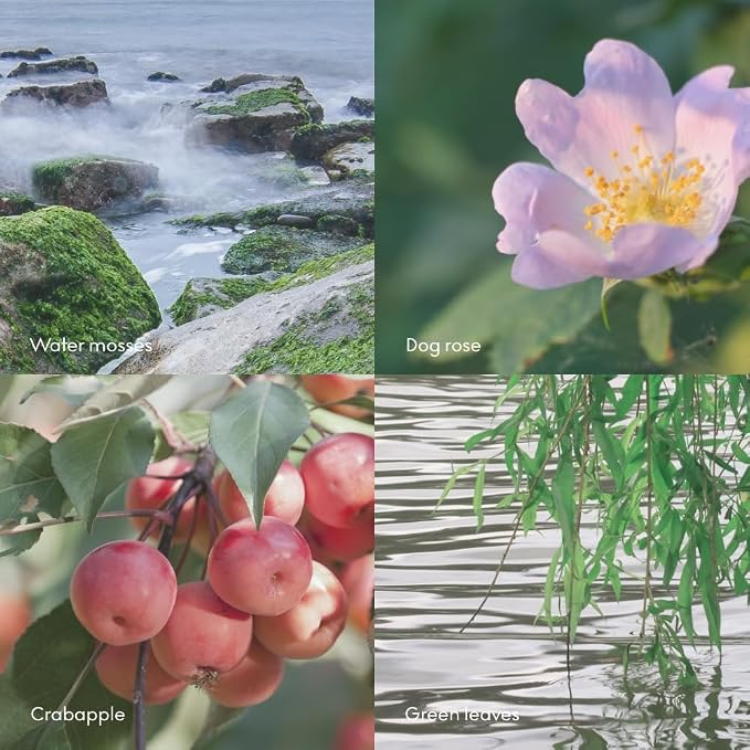 Skandinavisk ØY ‘Island' Hand & Body Wash, Scent notes: Crabapple and dog rose - Image 6