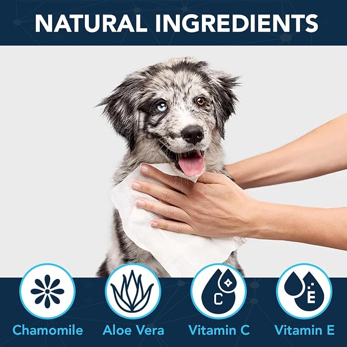 NOVEHA 360PCs Dog Wipes - Image 4