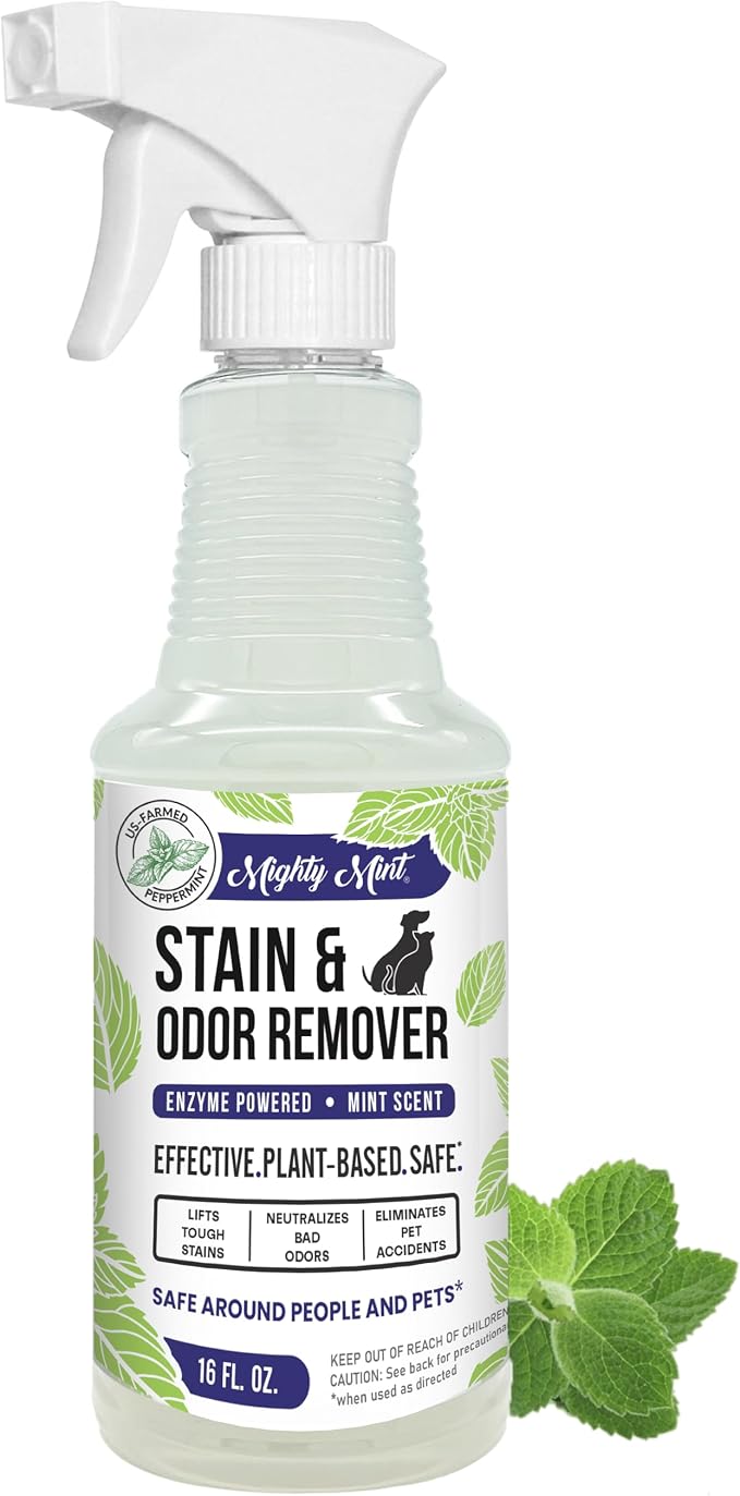 Mighty Mint Stain & Odor Remover, Natural Enzyme Spray Safely Neutralizes Odor by MightyMint