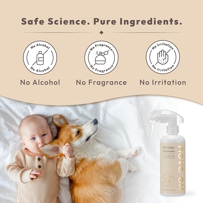 Pet Odor Eliminator Spray – Instantly Destroys Odors & Pet Smells by Innovated - Image 4