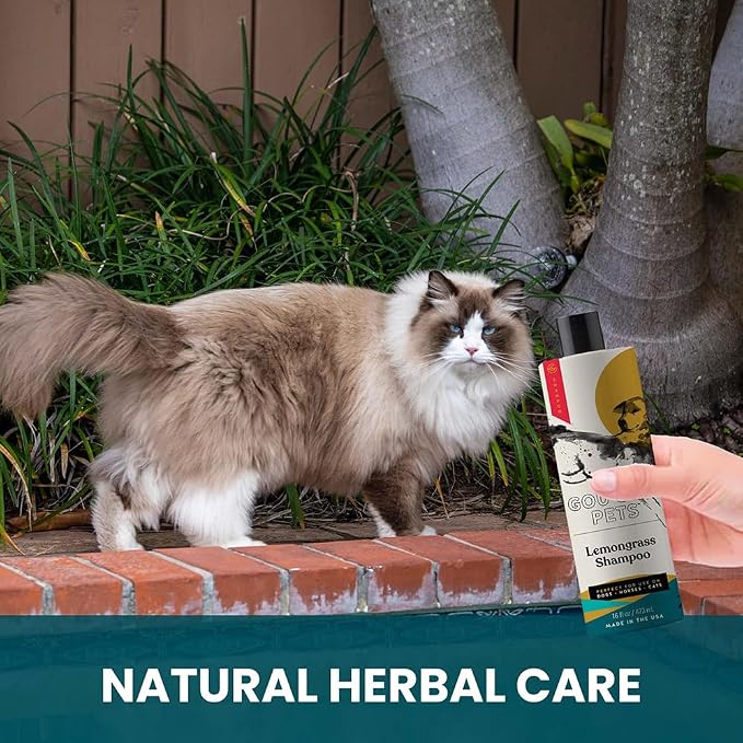 Holistic, Natural and Clean Pet Care Lemongrass Shampoo: Veterinarian - Image 3