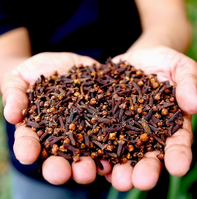 Clove Essential Oil - Image 9