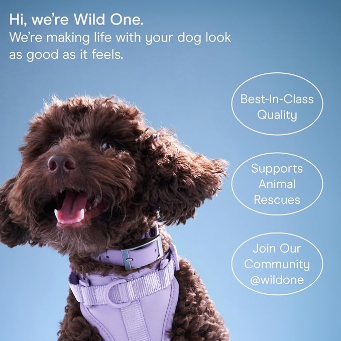 Wild One, Eucalyptus Natural Dog Grooming Wipes, Cruelty-free, resealable lid - Image 8