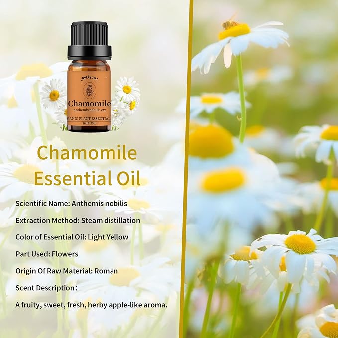 yethious Jasmine Chamomile Sandalwood Essential Oil Set Organic 100% Pure 3 - Image 4