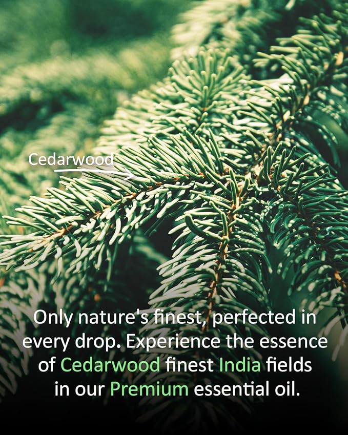 Pure Cedar Essential Oil, 100% Natural Cedar Oil, Premium Grade Essential Oils - Image 4