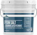 Earthborn Elements Spearmint & Peppermint Epsom Salt Foot Soak, 1 Gallon Bucket by EarthbornElements
