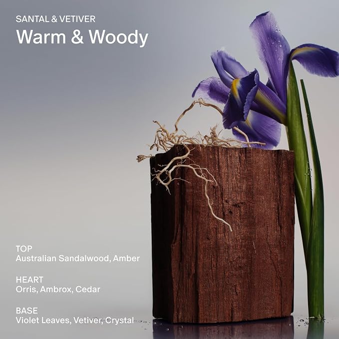 Salt & Stone Body Wash with Antioxidants - Image 3