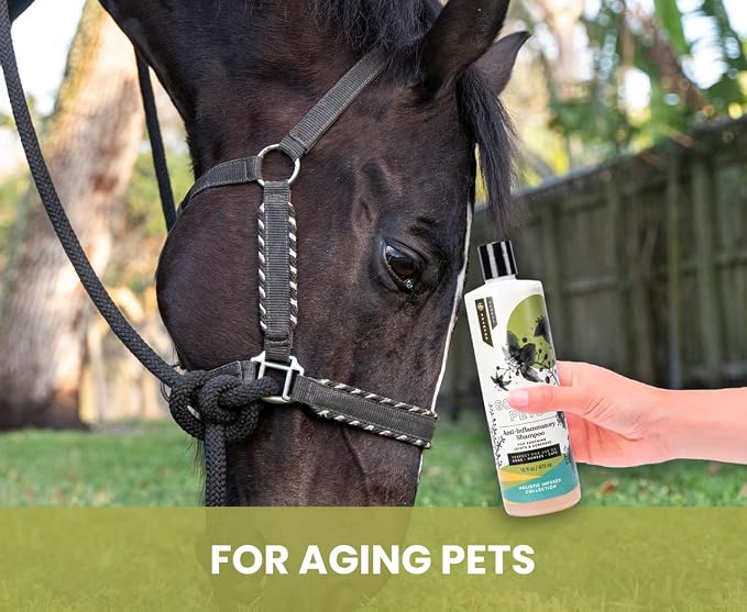 Holistic Natural Anti-Inflammatory Pet Shampoo: Veterinarian Recommended: - Image 9