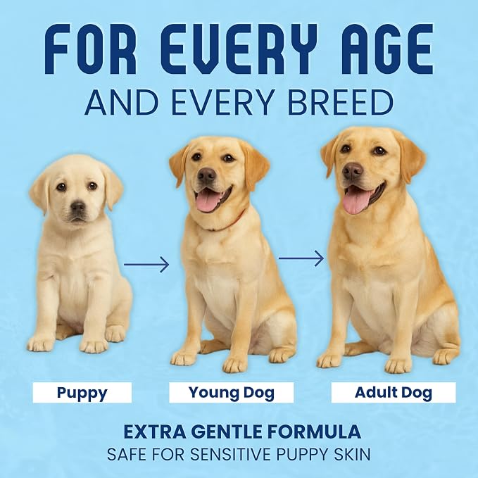 Organic Dog Shampoo - Image 7