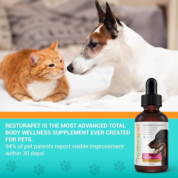 RestoraPet 2-Pack Dog & Cat Bacon Liquid Multivitamin | Dog Arthritis Pain - Image 7