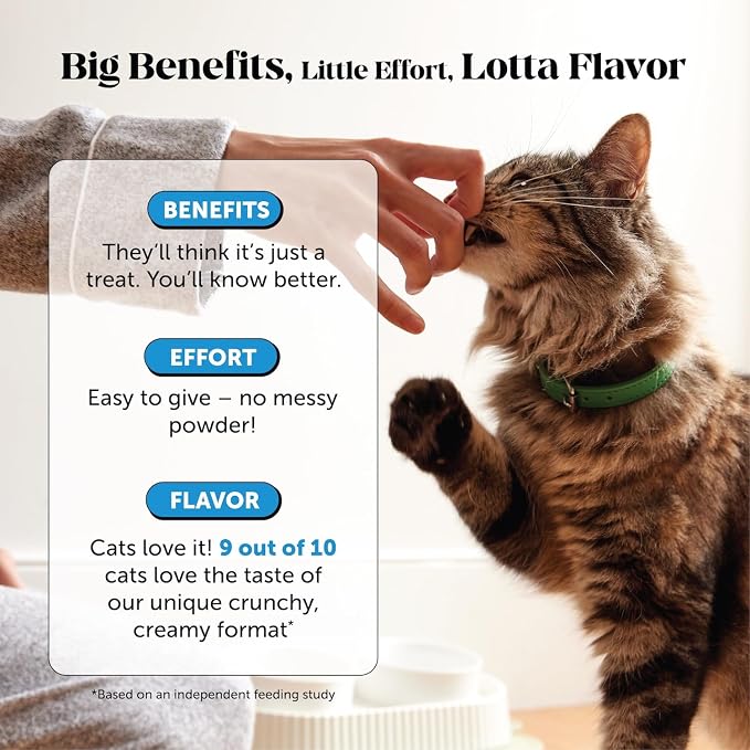 Cat Skin & Coat Health Chews – Crunchy & Creamy Treats - Image 4