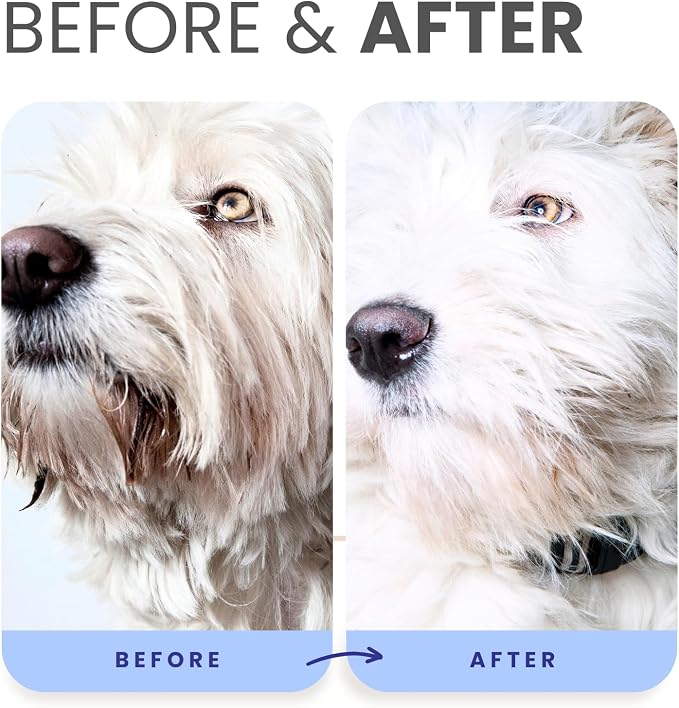 Lillian Ruff PRO Formula Blueberry Waterless Dog Shampoo & Berry Blue - Image 6