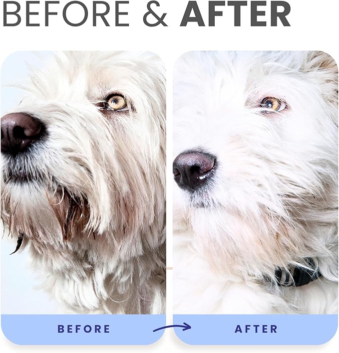 Lillian Ruff PRO Formula Berry Blue Brightening Pet Shampoo - Image 6