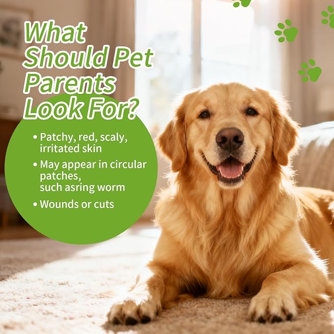 Clean Care Shampoo for Dogs and Cats, Seasonal Itch Relief Shampoo, Skin and - Image 9