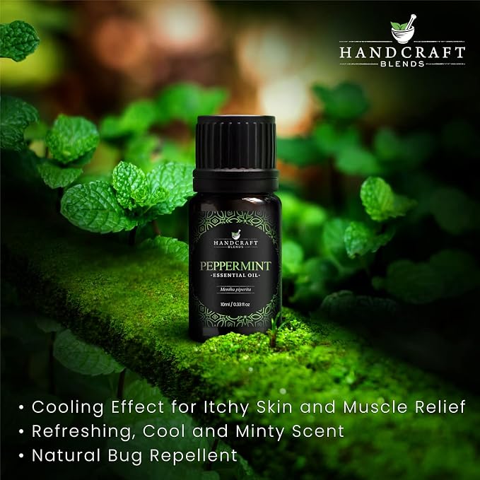 Handcraft Blends Peppermint Essential Oil – 0.33 Fl Oz – 100% Pure and Natural - Image 3