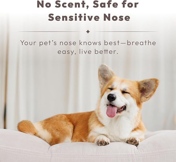 Pet Odor Eliminator Spray – Instantly Destroys Odors & Pet Smells by Innovated - Image 5