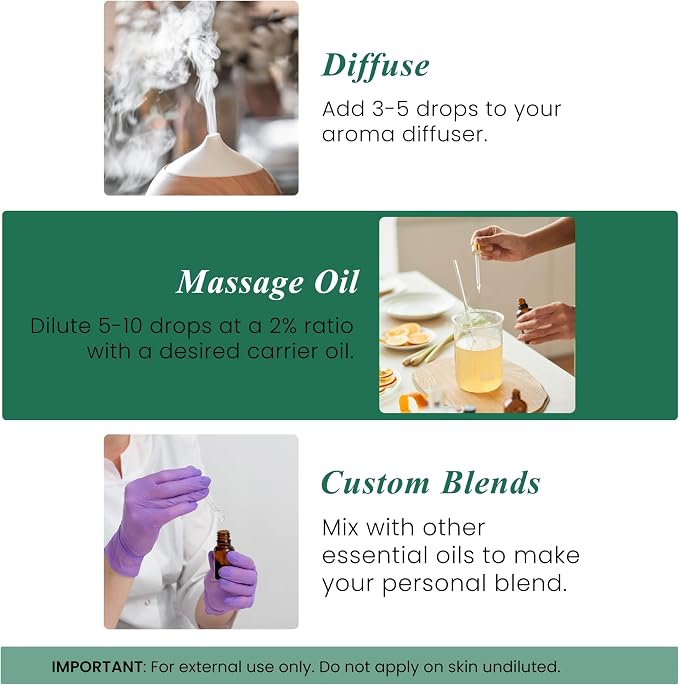 Handcraft Blends Eucalyptus Essential Oil – 1 Fl Oz – 100% Pure and Natural – - Image 5