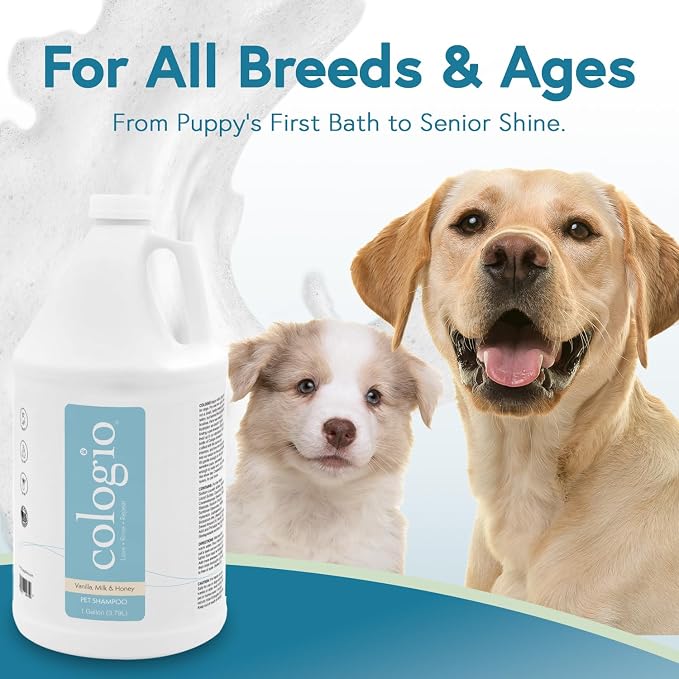 Dog Shampoo with Manuka Honey – Odor Eliminator & Itch Easing - Image 5