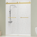 DELAVIN 56"-60" W x 75" H Frameless Shower Door, Double Sliding Shower Door by DELAVIN