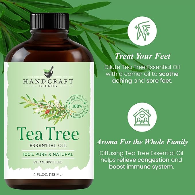 Handcraft Blends Tea Tree Essential Oil – Huge 4 Fl Oz – 100% Pure and Natural - Image 5