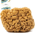 Naroa Massage Natural Shower Sponge X Large | Unbleached Body Scrubber Puff | by Naroa