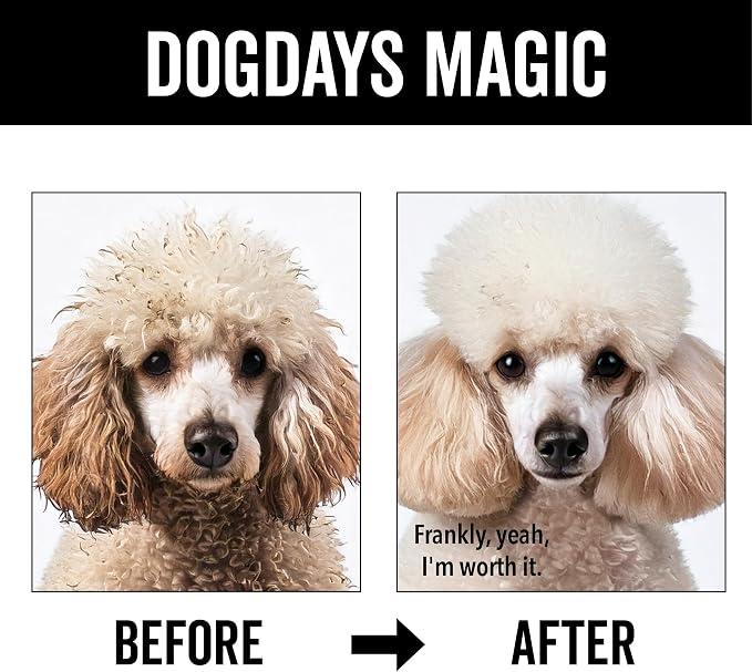 Pride and Groom DogDays Curly + Wavy Grooming Shampoo | Tearless, All-Natural - Image 5