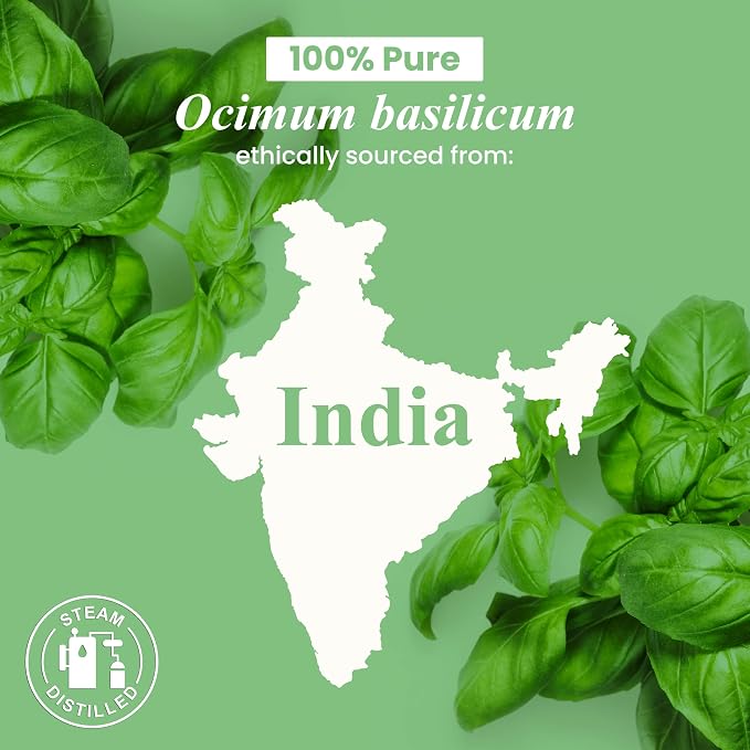 Handcraft Blends Basil Essential Oil – 1 Fl Oz – 100% Pure and Natural – - Image 7