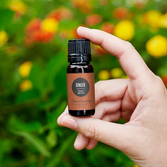 Edens Garden Ginger Essential Oil- 100% Pure Premium Grade, Therapeutic - Image 2