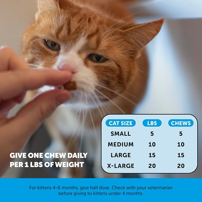Cat Skin & Coat Health Chews – Crunchy & Creamy Treats - Image 7