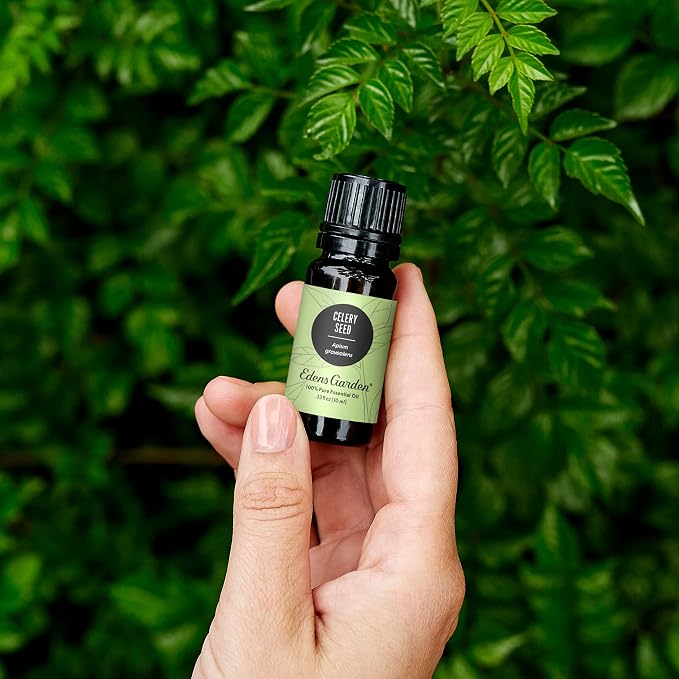 Edens Garden Celery Seed Essential Oil- 100% Pure Premium Grade, Therapeutic - Image 2