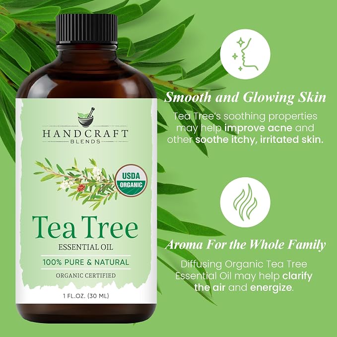 Handcraft Blends Organic Tea Tree Essential Oil – 1 Fl Oz – 100% Pure and - Image 4