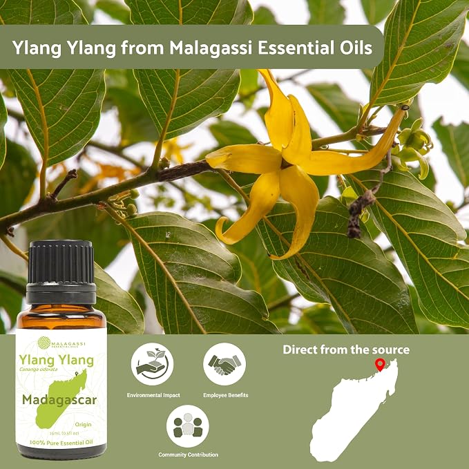Ylang Ylang Essential Oil - Image 3