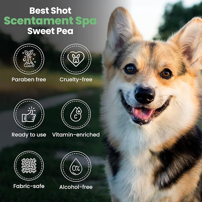 Best Shot Scentament Spa Botanical Body Spray, Body Spray Conditioner - Image 4