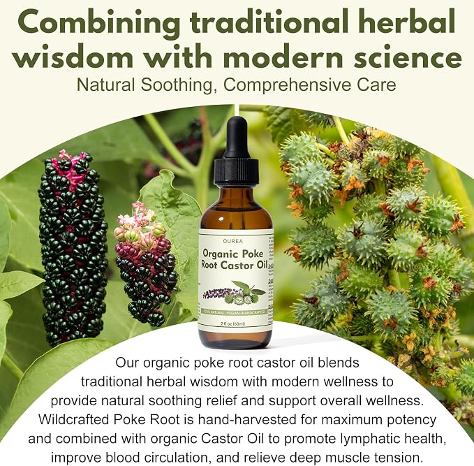 Organic Poke Root Castor Oil – 2 Fl Oz Natural Lymphatic Support Massage Oil - Image 4