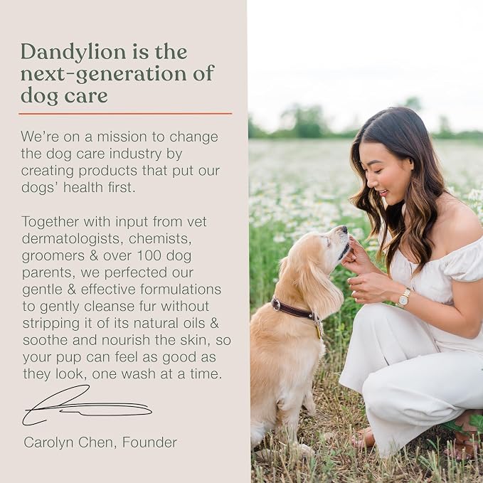 Dandylion Clean Paws No-Rinse Foaming Cleanser Refill – Gentle, Fragrance-Free - Image 7