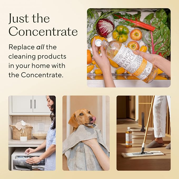Branch Basics Concentrate Refill | All Purpose Multi-Surface Cleaning - Image 2
